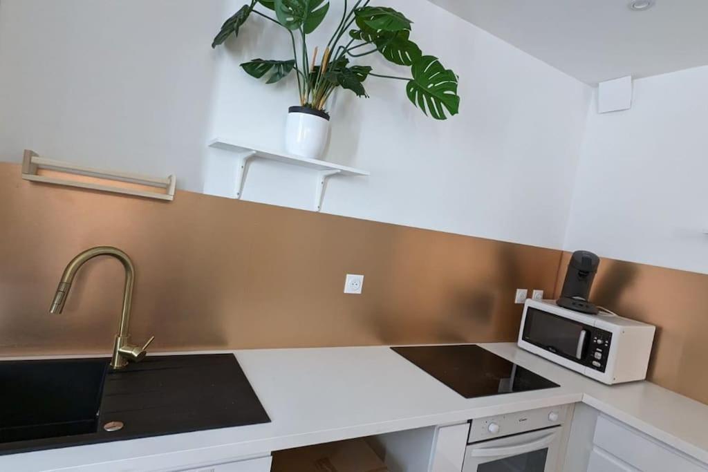 Cosy Queen -3Ch- Centre Ville & Parking Privee - Wifi Haut Debit Pau Exteriör bild